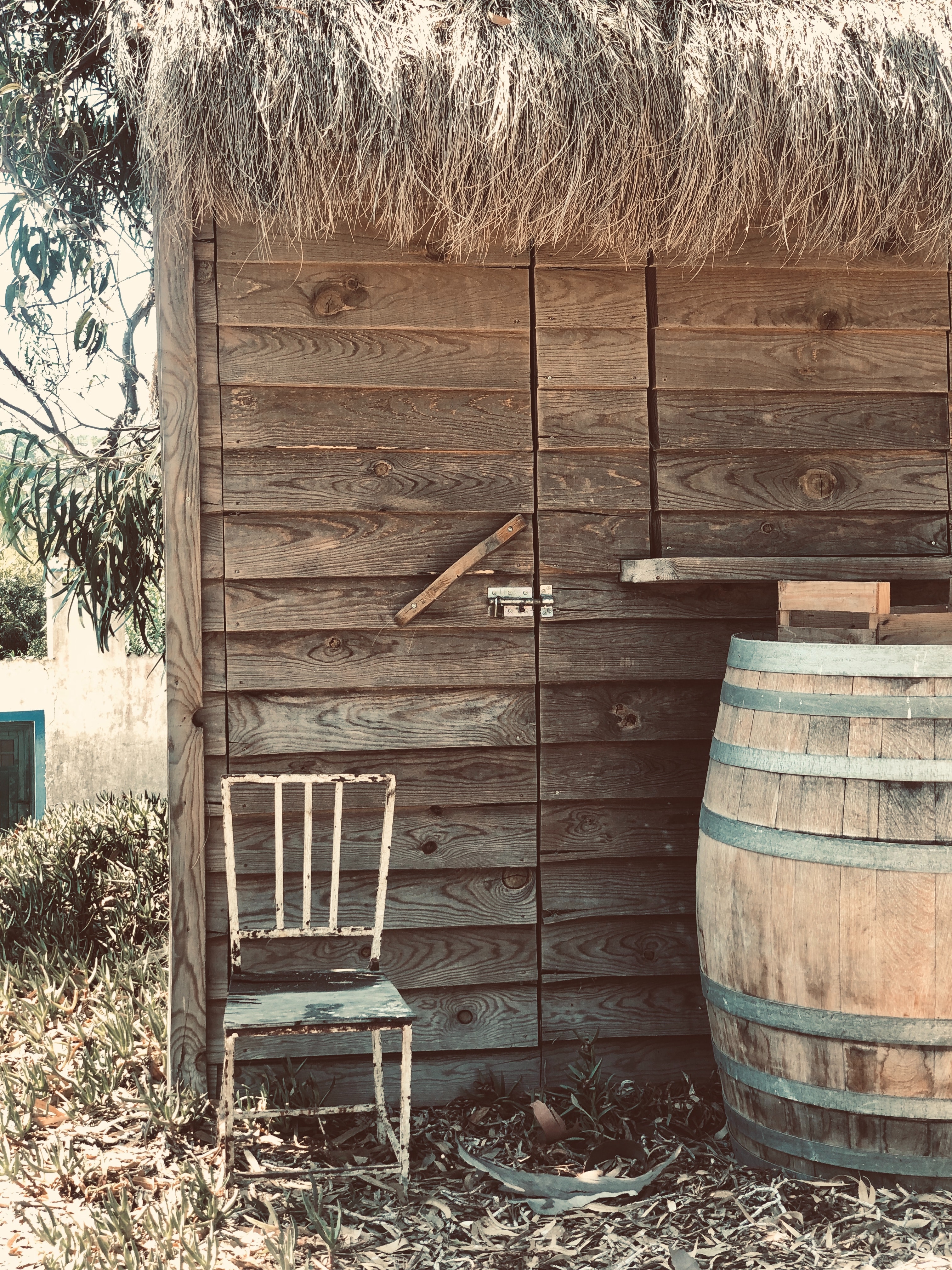 jak zbudowac wedzarnie