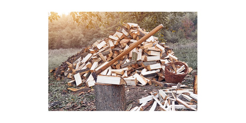 Najlepsze drewno do wędzenia - jakie drewno wędzarnicze wybrać?